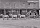 Modoc Stagecoach